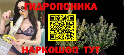 дживик Анапа