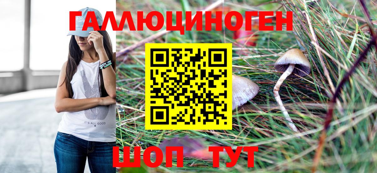 Псилоцибиновые грибы Cubensis Александров