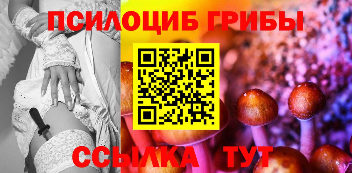 Псилоцибиновые грибы мицелий  Вход с VPN  Александров 